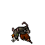 Pirat Cutthroat